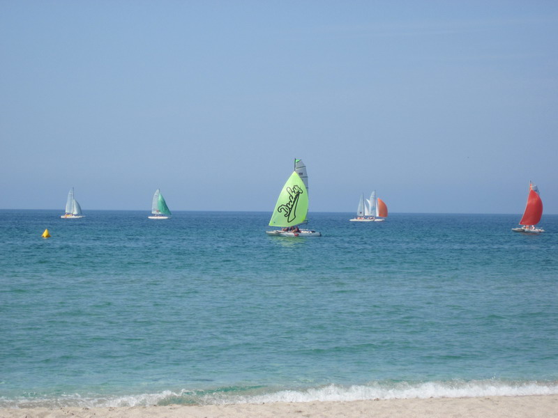 IMG_1726.jpg