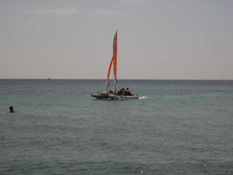 IMG_1646.jpg