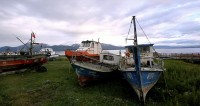 boats.jpg