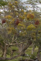 IMG_1031.jpg