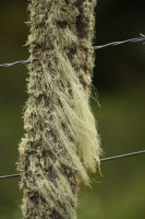 IMG_1624.JPG