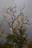 IMG_1869.JPG