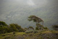 IMG_1561_1.jpg