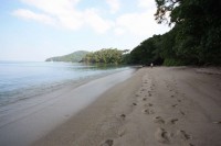 60.jpg (47.74 КБ) 12340 просмотров 60.jpg