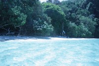 64.jpg (99.14 КБ) 12340 просмотров 64.jpg