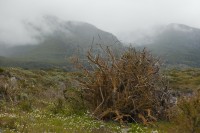 IMG_1552.JPG