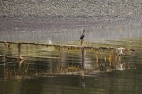 IMG_1089.JPG