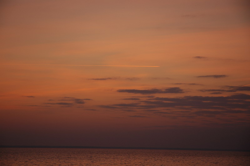DSC_4820.JPG