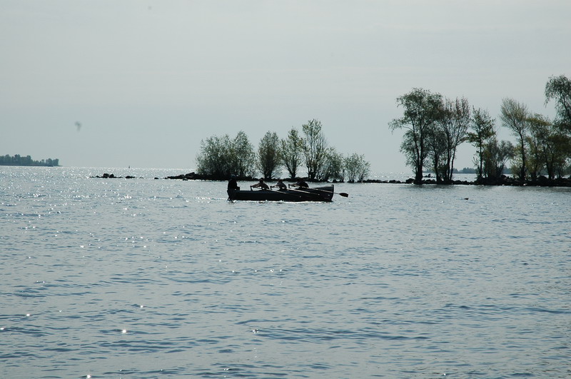 DSC_7009.JPG