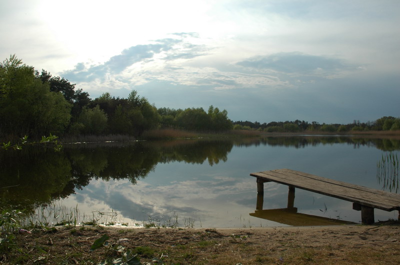 DSC_7356.JPG