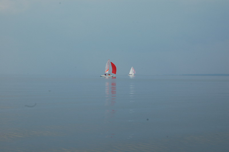 DSC_7341.JPG