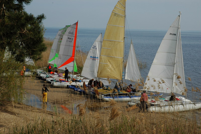 DSC_7330.JPG