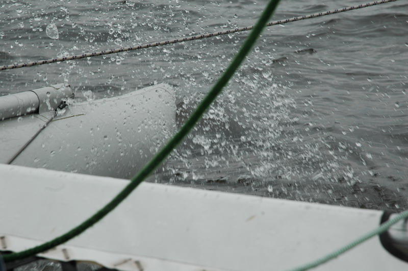 DSC_7531.JPG