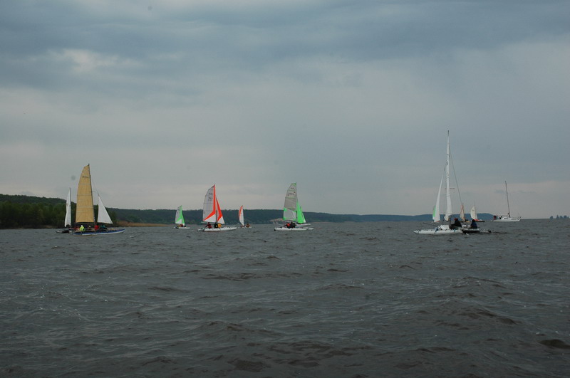 DSC_7517.JPG