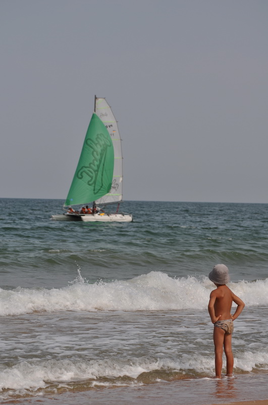 DSC_0137.jpg