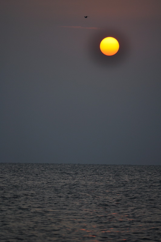 DSC_0220.jpg