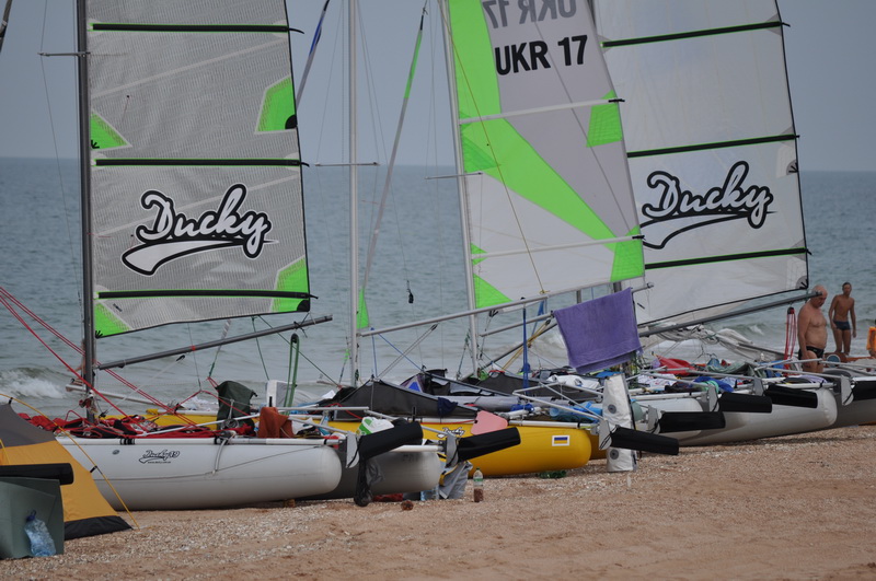 DSC_0201.jpg