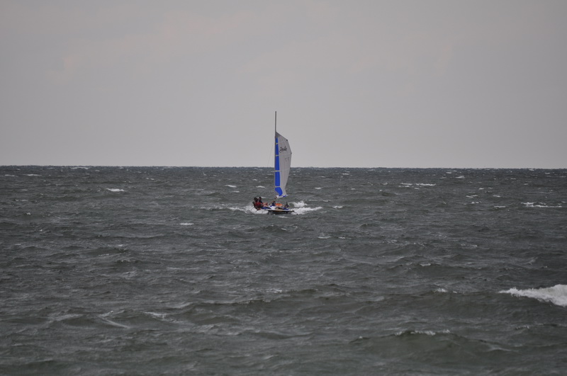DSC_0380.jpg