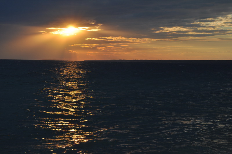 DSC_0342.jpg