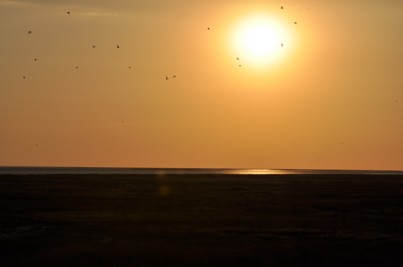 DSC_0321.jpg