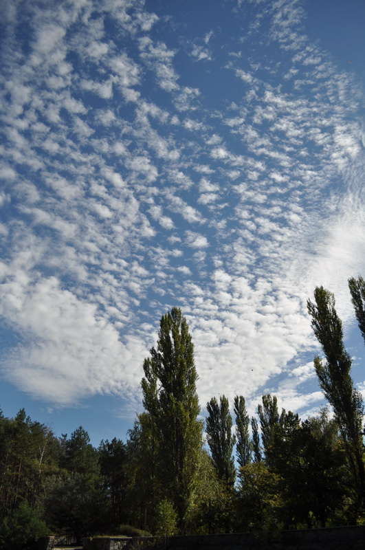 DSC_0759.jpg