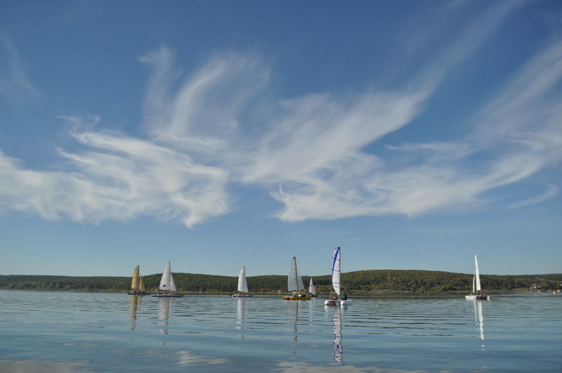 DSC_0705.jpg