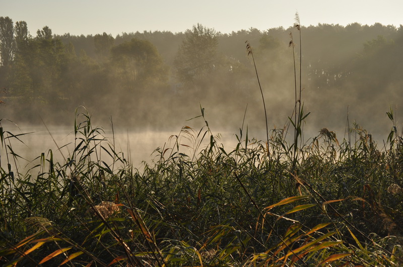 DSC_0551.jpg