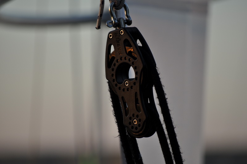 DSC_0591.jpg