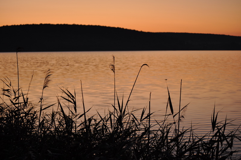 DSC_0542.jpg