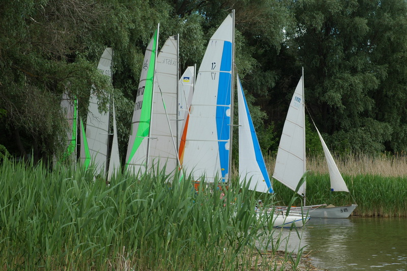 DSC_3870.JPG
