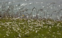 IMG_0995.JPG