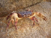 нетронь!.jpg (121.99КБ)11982 просмотра нетронь!.jpg