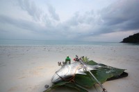 78.jpg (40.82КБ)12122 просмотра 78.jpg