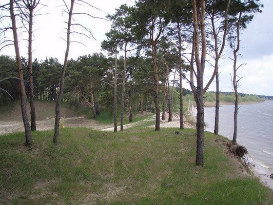 P5020072.JPG