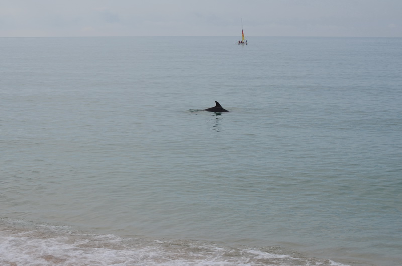 DSC_1804.jpg