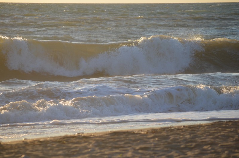 DSC_2895.JPG