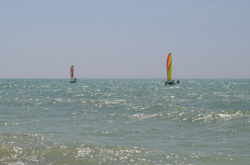 DSC_2933.JPG