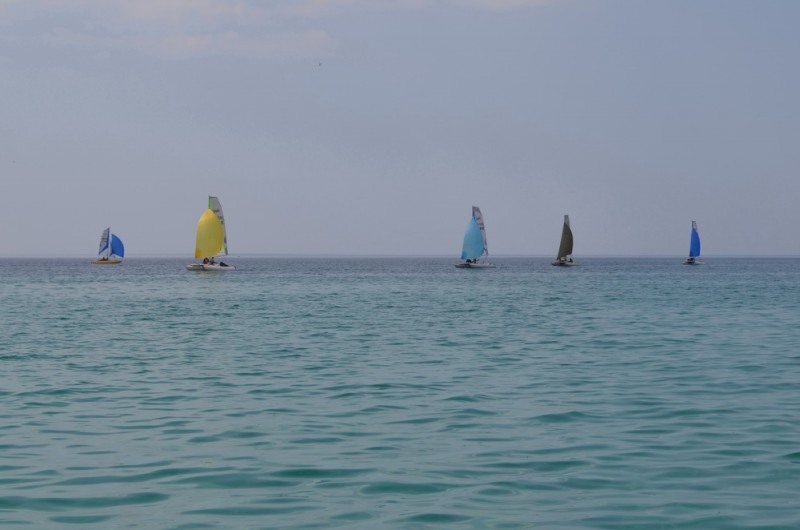 DSC_3287.JPG