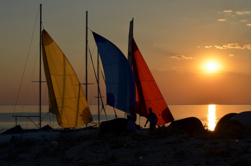DSC_3321.JPG