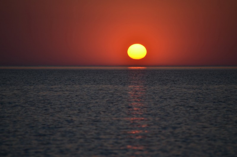 DSC_3335.JPG