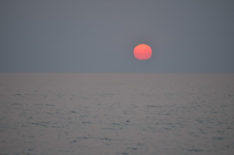 DSC_3274.JPG