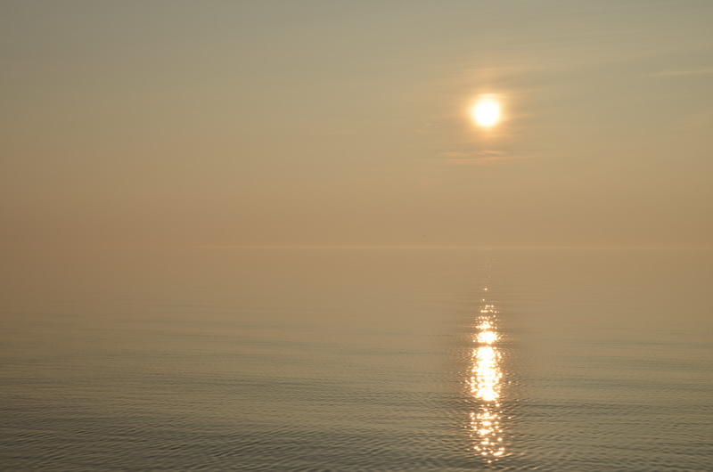 DSC_4516.JPG