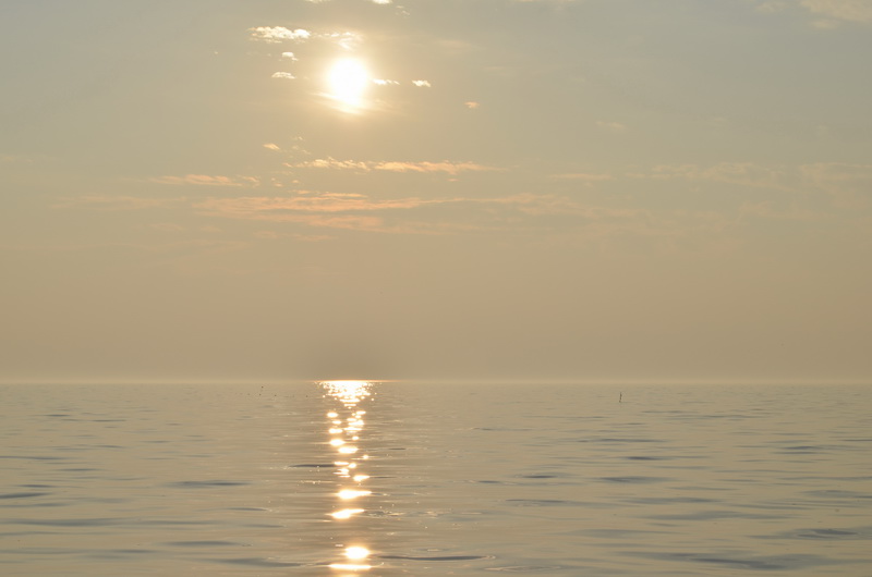 DSC_4640.JPG
