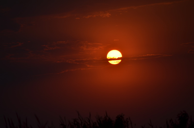 DSC_7861.JPG