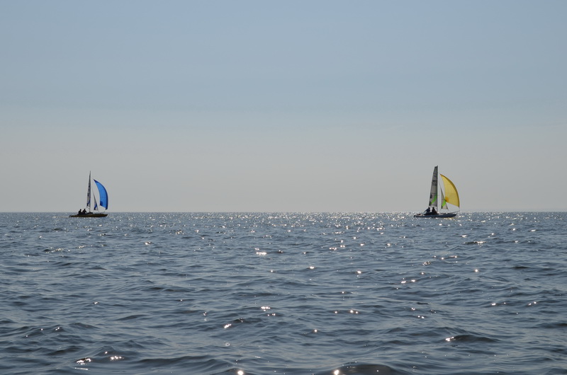 DSC_8498.JPG