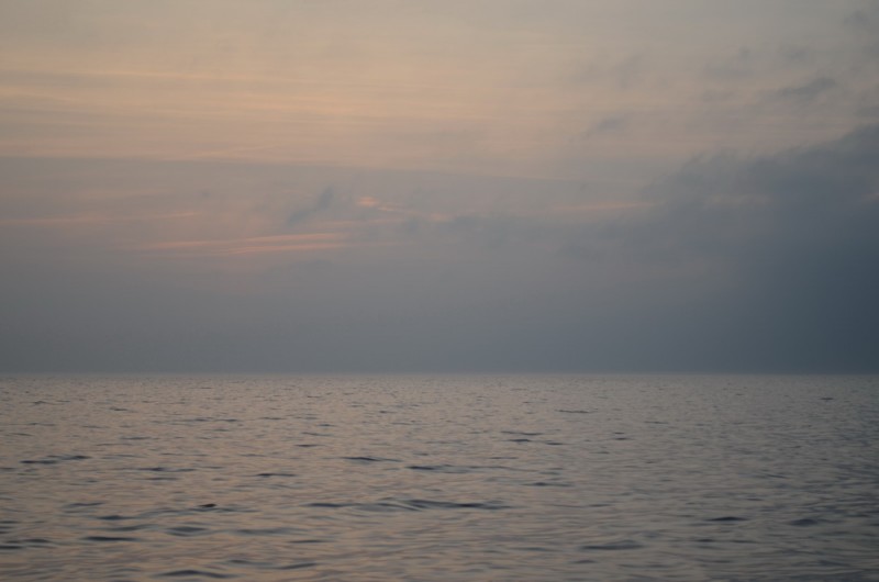 DSC_9397.JPG