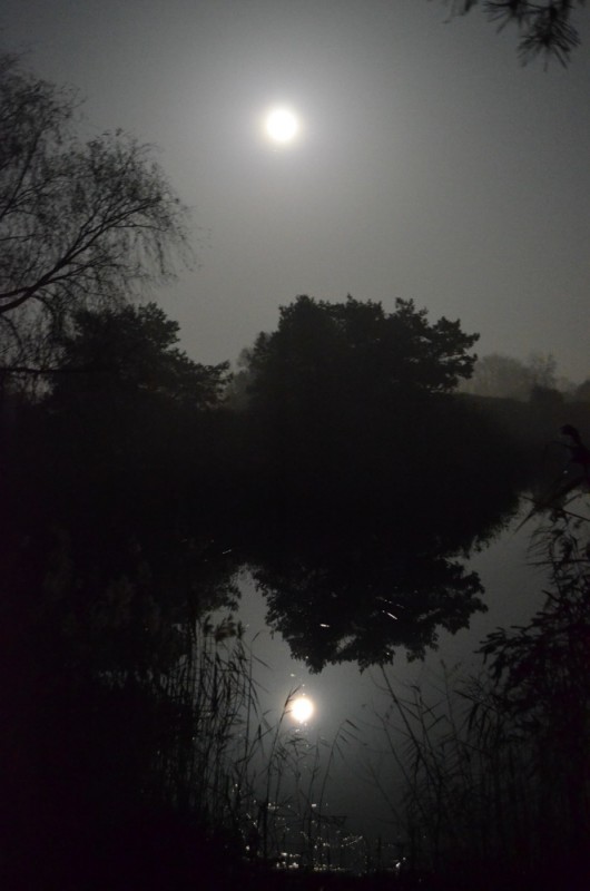 DSC_9417.JPG