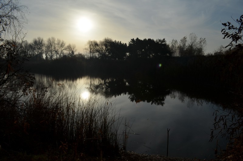 DSC_9456.JPG