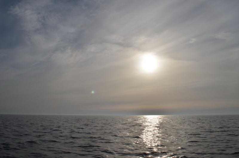 DSC_9554.JPG