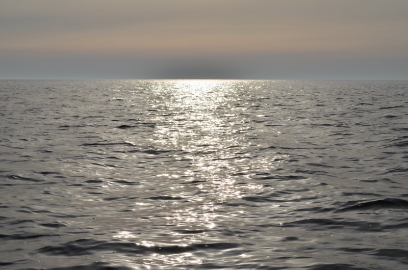 DSC_9558.JPG